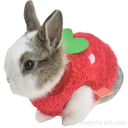 Winter Warm Bunny Rabbit Clothes